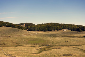 Panoramica della Strada delle Vette sulla Sila 157