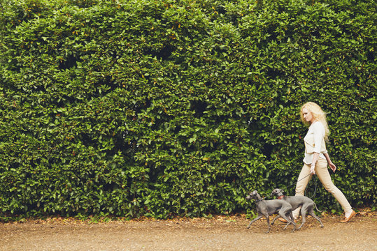 Woman relaxing in the park with her dogs