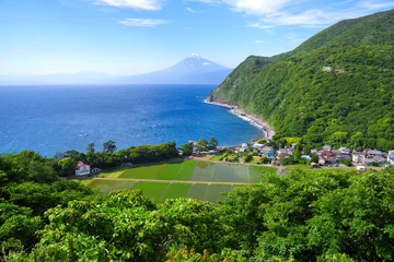 Afwasbaar Fotobehang Kust De kust van Nishiizu en de berg Fuji