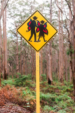 Fairies crossing: A pedestrian crossing warning sign in a beautiful old wood forest in Western Australia