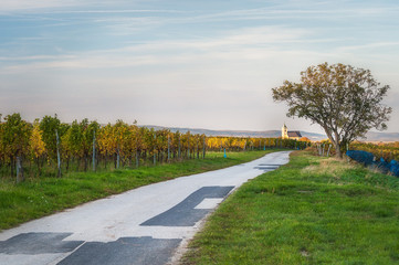 Fototapeta na wymiar Weg durch die Weinberga nach Oggau im Burgenland