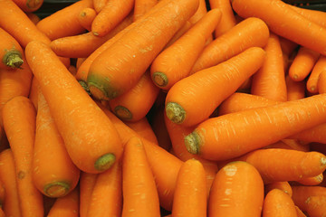 Heap of vibrant orange color carrots, for background or banner 