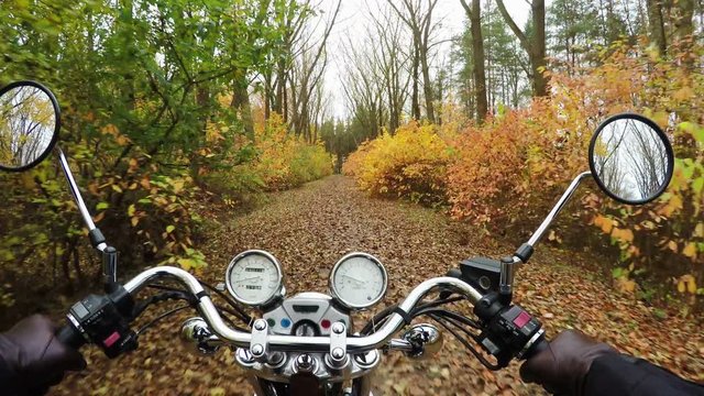 4K. Fantastic motorcycle ride on the road in orange autumn forest, wide point of view of rider. Classic cruiser/chopper forever!