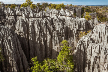 Fototapeta na wymiar Tsingy de Bemaraha, Madagascar