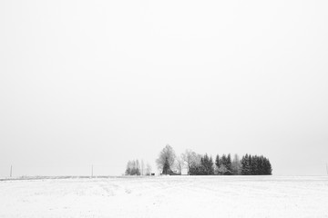 Winter nature in Estonia