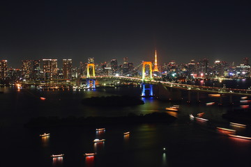Fototapeta na wymiar 東京・お台場の夜景