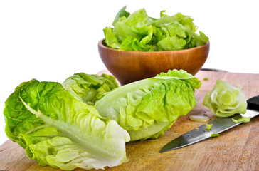 fresh baby cos (lettuce) on white background