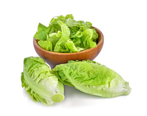 fresh baby cos (lettuce) on white background