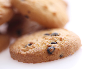 Chocolate chip cookie isolated in white background