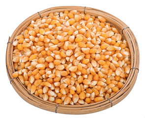 Dried corn kernels isolated on white