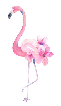 Watercolor exotic flamingo. Summer decoration print for wrapping, wallpaper, fabric, card