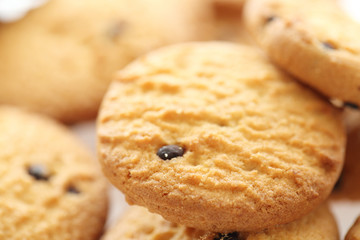 Chocolate chip cookie isolated in white background