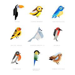 Collection of birds, lilac breasted roller, bullfinch, red bellied pitta, great tit, kingfisher, northern cardinal, bee eater, sparrow, superb fairy vector Illustrations