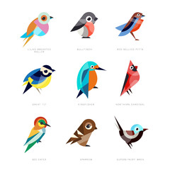 Obraz na płótnie Canvas Different birds set, lilac breasted roller, bullfinch, red bellied pitta, great tit, kingfisher, northern cardinal, bee eater, sparrow, superb fairy wren vector Illustrations