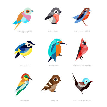 Different birds set, lilac breasted roller, bullfinch, red bellied pitta, great tit, kingfisher, northern cardinal, bee eater, sparrow, superb fairy wren vector Illustrations