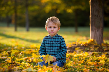 Adorable little boy with teddy bear in the park on an autumn day