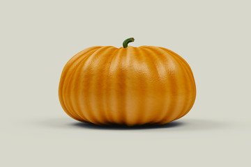 pumpkin on the white background