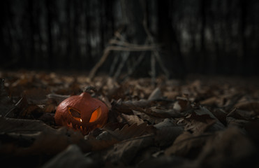 Halloween Witch with a magic Pumpkin in a dark forest. Beautiful young woman in witches hat and costume holding carved pumpkin. Halloween art design