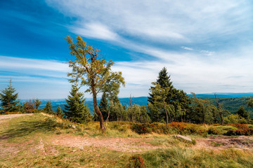 Fototapeta na wymiar Mountain trails in Krkonose Mountains