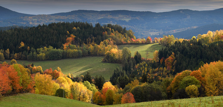 Touch of soft light on gentle rolling hills with trees in vivid autumn colours, Sumava, Böhmerwald, Kasperske Hory