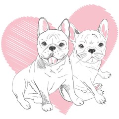 Pug dog face - vector illustration isolated on white background