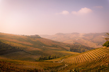 Langhe, Piedmont, Italy. Autumn landscape