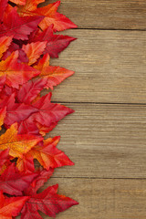 Naklejka na ściany i meble Autumn background with fall leaves on weathered wood