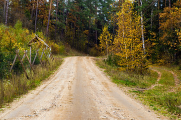Puszcza Knyszyńska © podlaski49