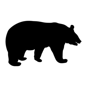Black silhouette of running bear on white background of vector illustration