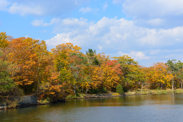 北海道　大沼国定公園の紅葉