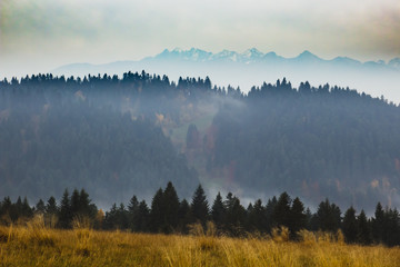 Autumn mountain landscape with fog