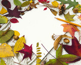 autunno arte matita
