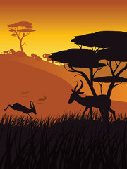 Fototapeta na wymiar Sunset Landscape with Antelopes