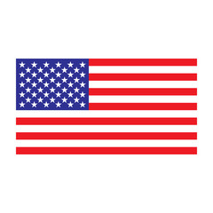 USA flag. vector illustration
