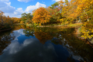 北海道　大沼国定公園の紅葉