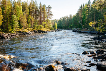 Beautiful landscape with mountains, forest and river