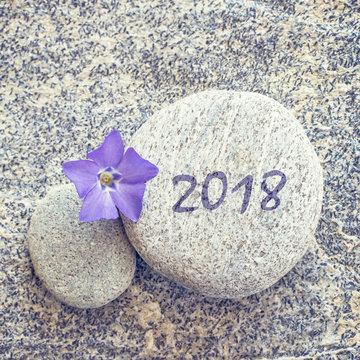 2018 written on a stone background with blue periwinkle flower