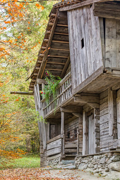 Historical barn farmhouse in the alps, autumn colors.
