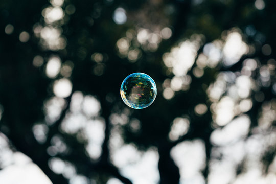 One colourful bubble floating in front of dark trees