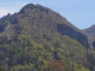 Bewaldeter Berggipfel mit Felswand