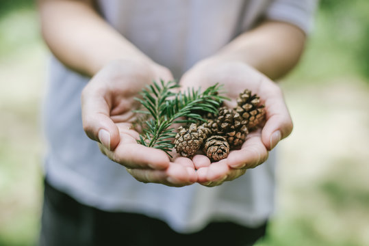 Woman holding pinecones