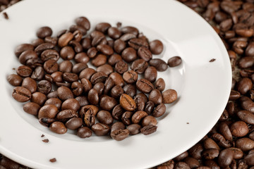 White plate among roasted coffee beans closeup