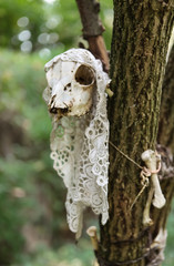 witch altar in tree with animal scull