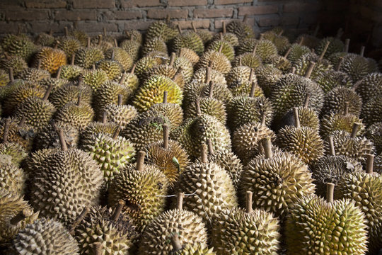 Durians