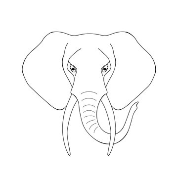 Isolated black outline head of african elephant on white background. Line cartoon elephant portrait. Curve lines. Page of coloring book.