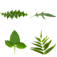 Nature background. Set
