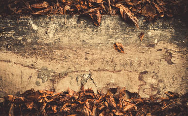 vintage wood with faded fall leafs on both sides