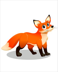 Little red Fox with big eyes - vector drawing - isolate white background