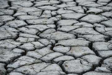 Mud volcanoes also known as mud domes in summer season