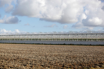 Greenhouses and potato field